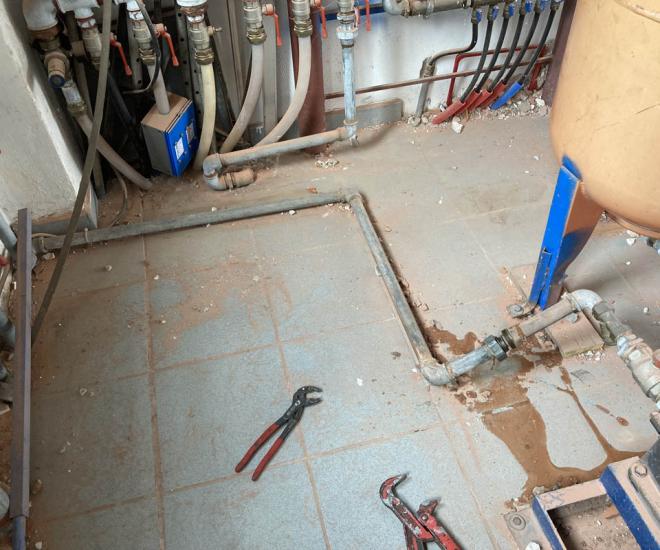 2021 09 21 12 25 Img 2242