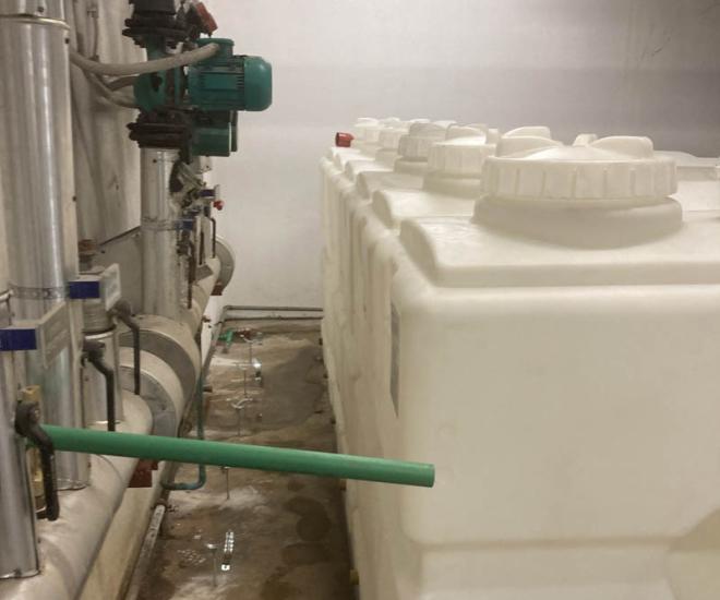 2022 03 01 10 06 Img 3086