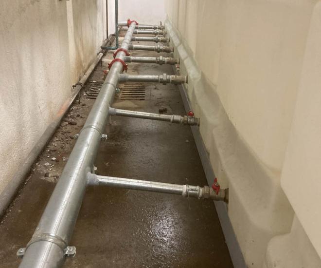 2022 03 01 20 09 Img 3099