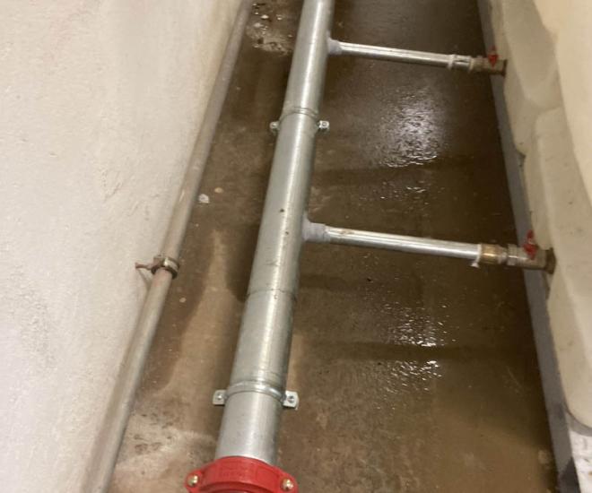 2022 03 01 20 09 Img 3101