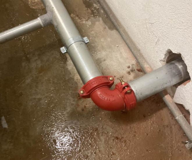 2022 03 01 20 09 Img 3102