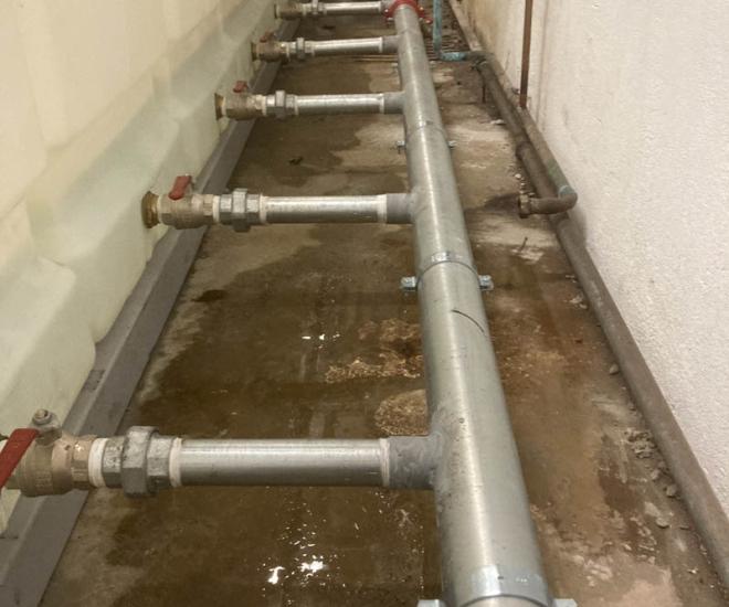 2022 03 01 20 09 Img 3103