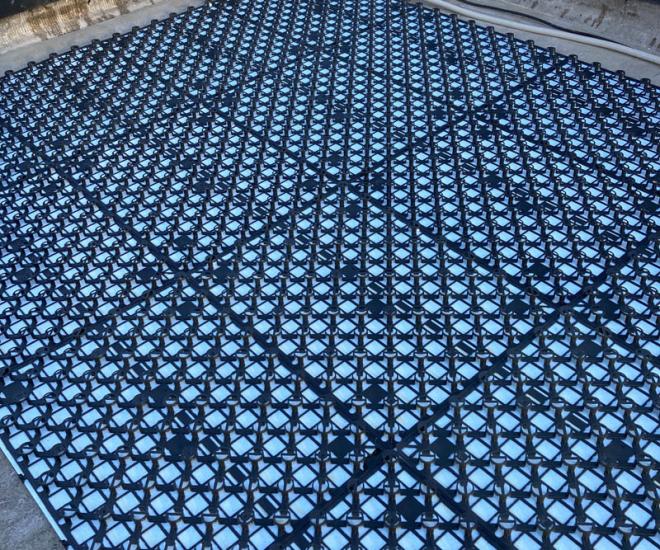 2021 12 03 10 57 Img 2591