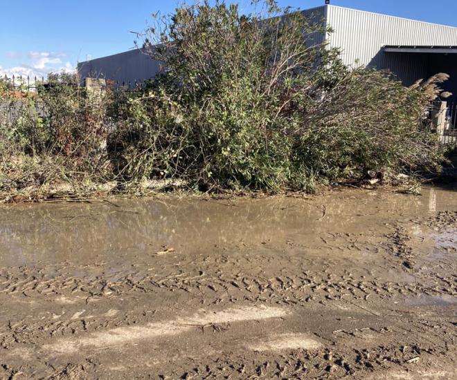 2023 11 18 10 16 Img 5259