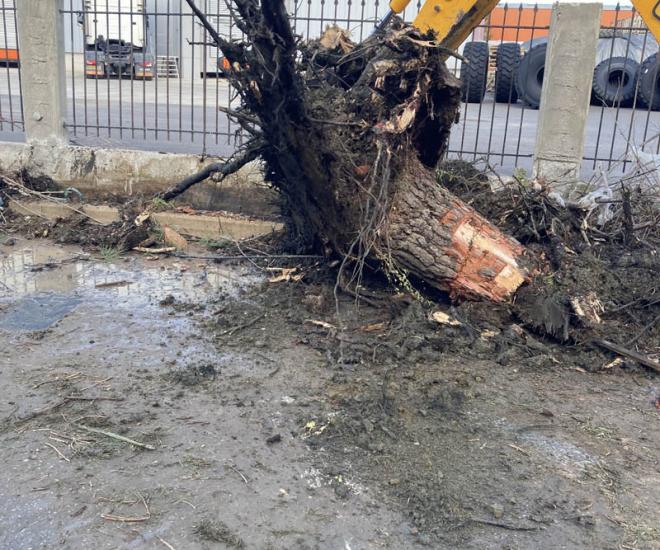 2023 11 18 12 15 Img 5260