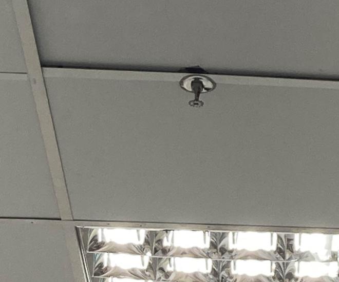 2021 10 11 20 51 Img 2421