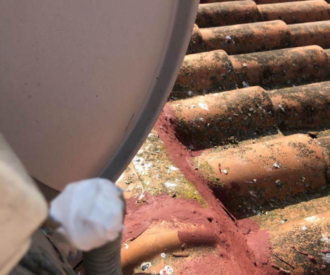 2021 04 13 16 47 Img 0986