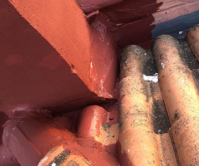 2021 04 13 19 52 Img 0999