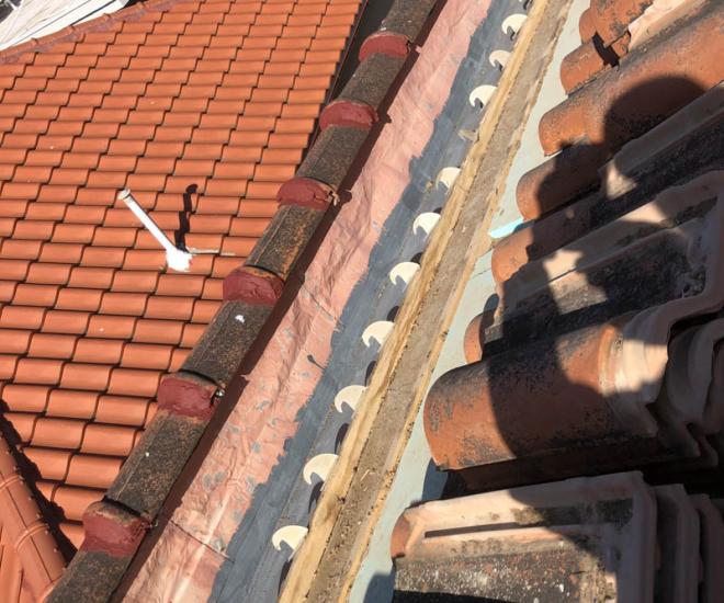 2021 04 14 10 03 Img 1002