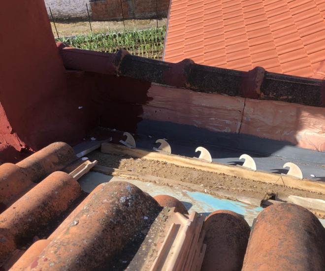 2021 04 14 10 03 Img 1003