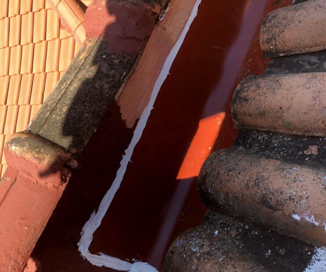 2021 04 14 11 43 Img 1012