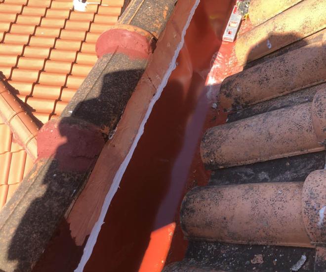 2021 04 14 11 43 Img 1013