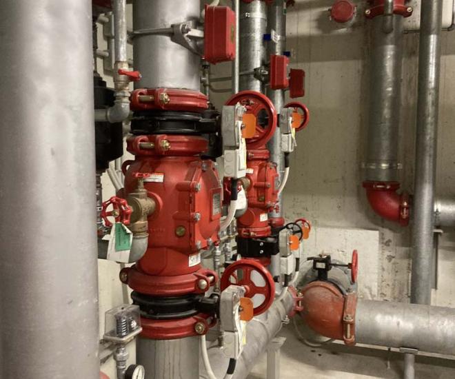 2023 03 01 15 03 Img 4528