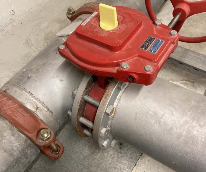 2023 03 01 15 08 Img 4530