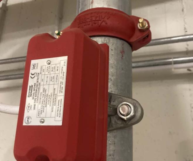 2023 03 01 15 09 Img 4534