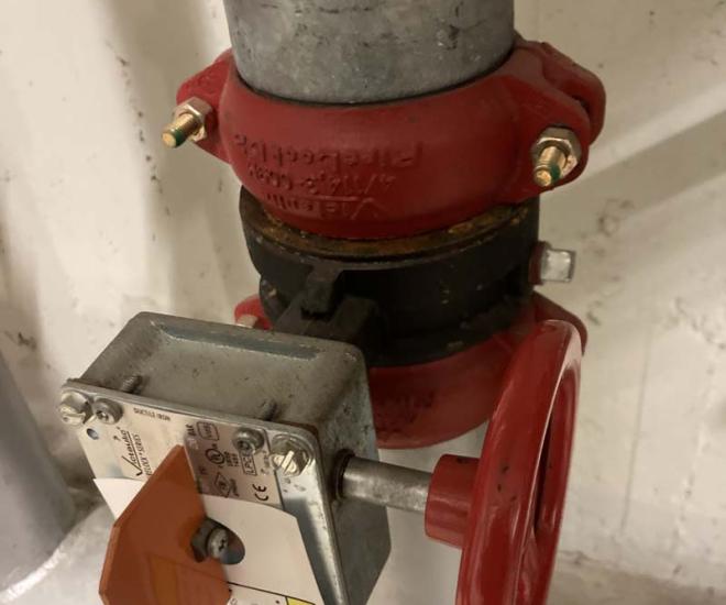 2023 03 01 15 09 Img 4535