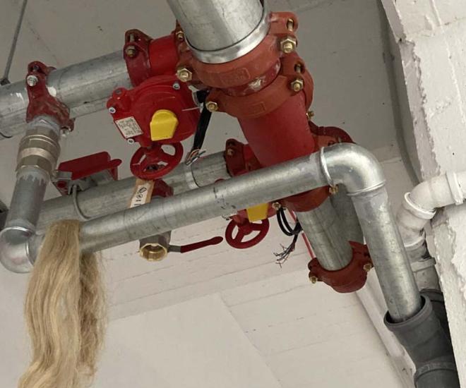 2023 05 17 10 31 Img 4714