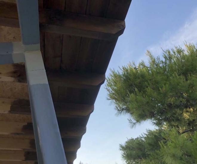 2021 06 02 19 37 Img 1384