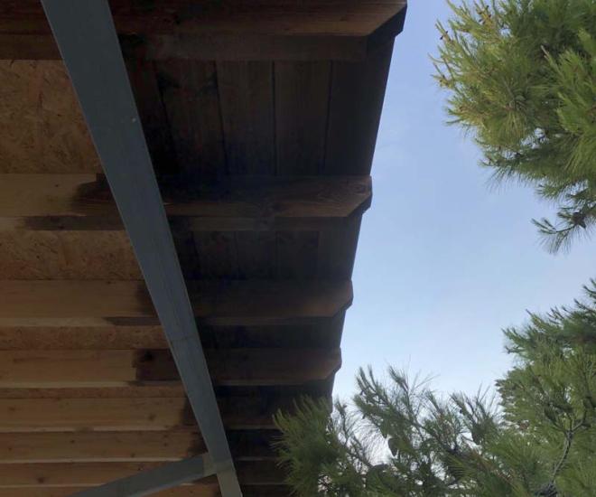 2021 06 02 19 37 Img 1387