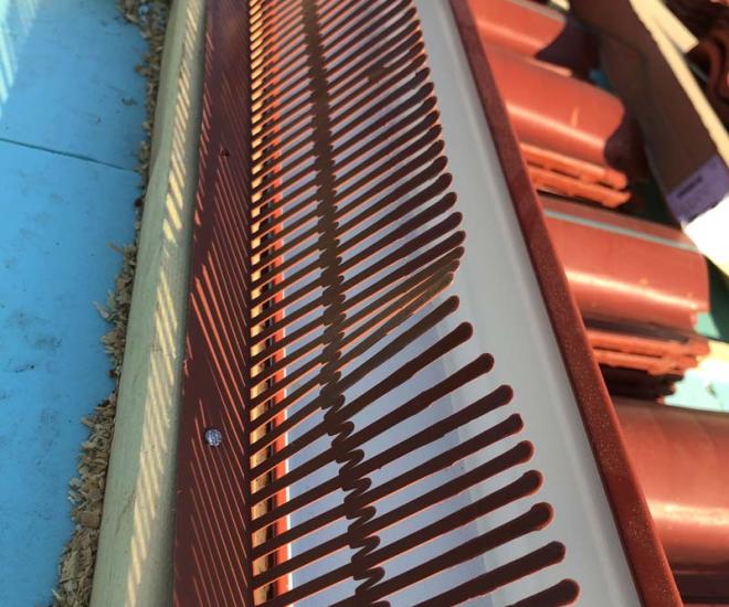 2021 06 07 07 33 Img 1481