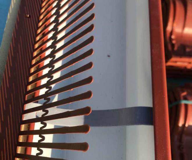 2021 06 07 07 33 Img 1482