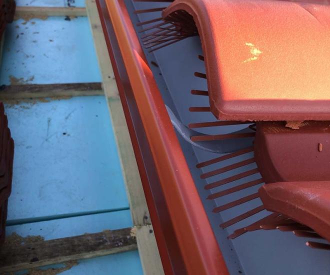 2021 06 07 07 47 Img 1486