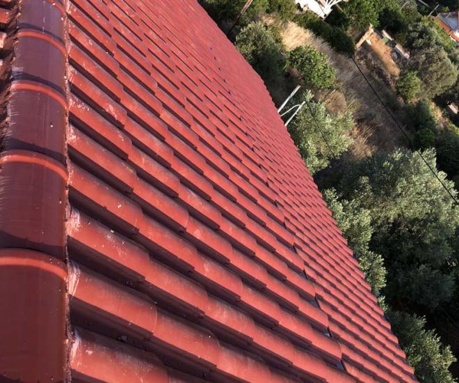 2021 06 07 19 34 Img 1517