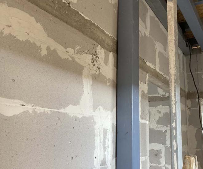 2021 11 25 10 52 Img 2525