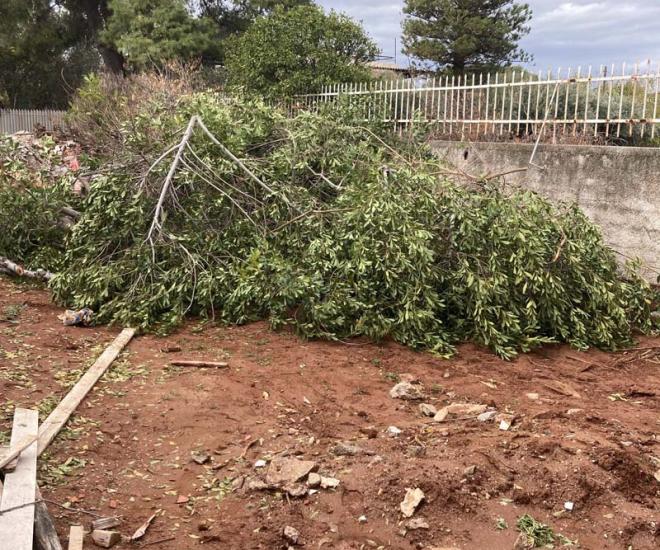 2021 11 27 11 57 Img 2558