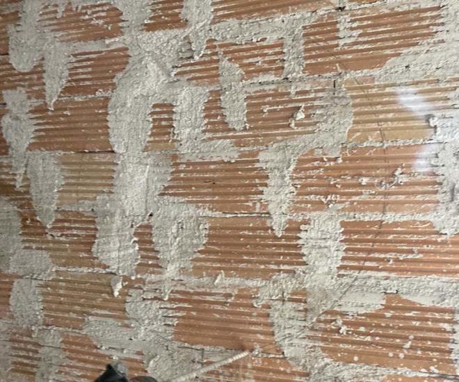 2022 02 04 10 39 Img 2967