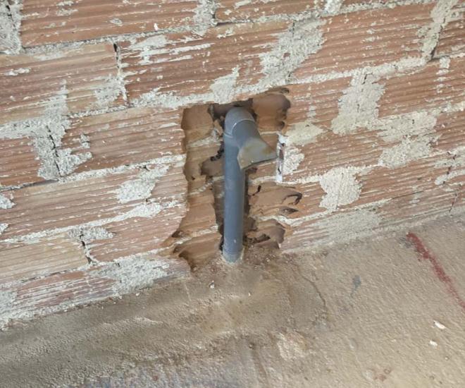 2022 04 08 11 01 Img 3262